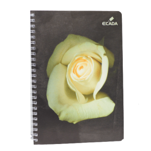 Caiet cu Spira A5 80 file