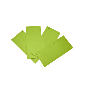 Separator Biblioraft A5, 100 file/set, Eher